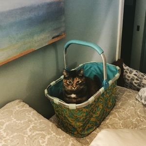 Meet your Posher, Wendy